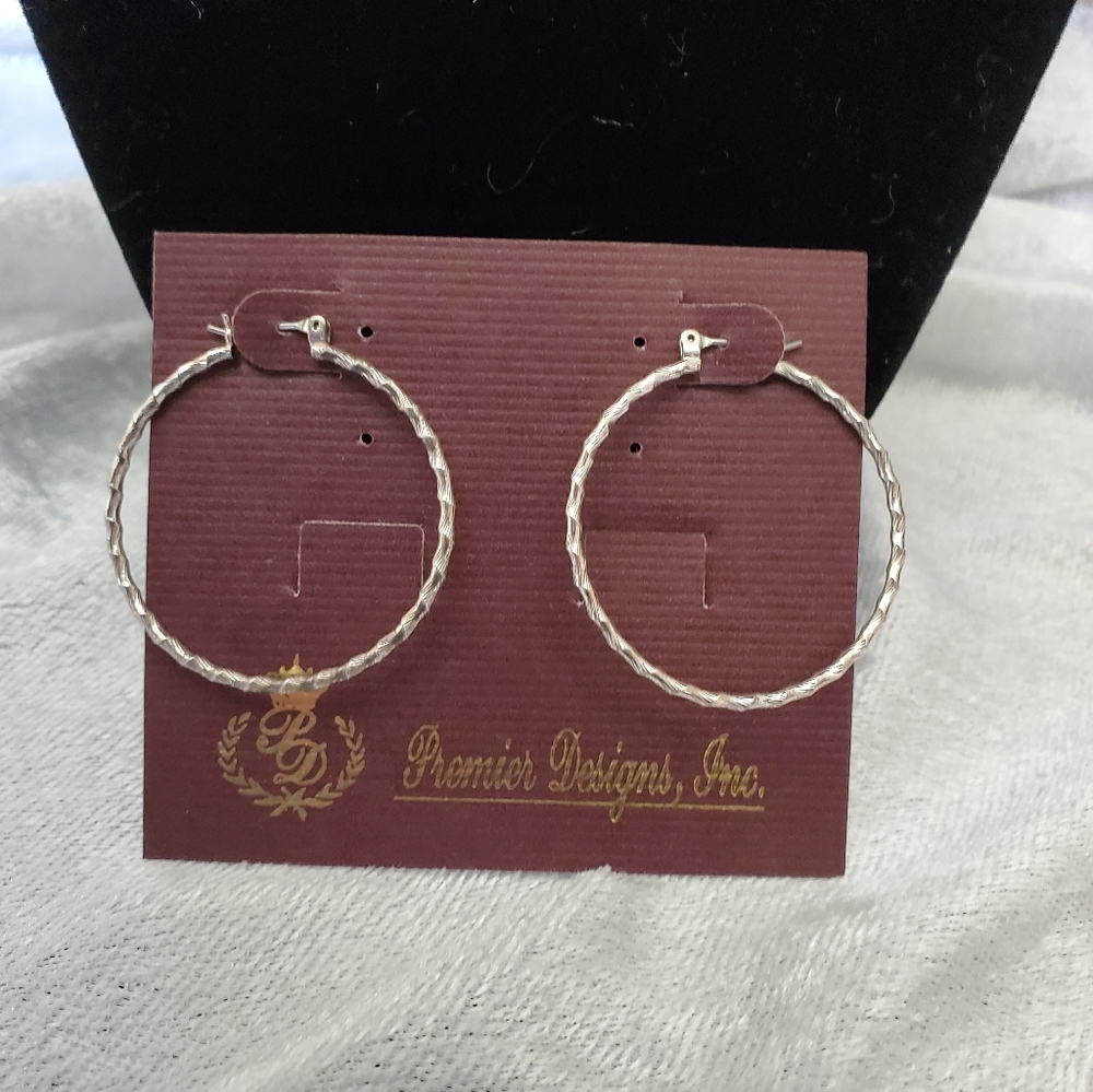 Sliver earrings